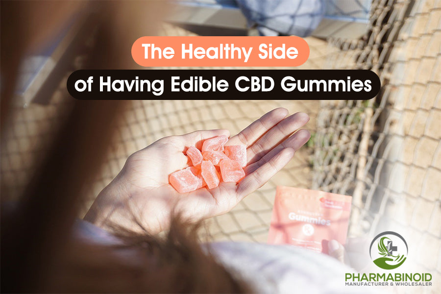 CBD Gummies: Den sötaste vägen till en holistisk hälsa och välbefinnande