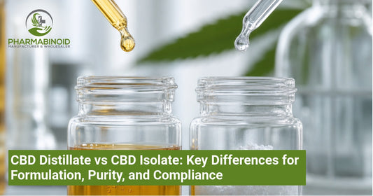 CBD Distillate vs CBD Isolate: Key Differences for Formulation, Purity, and Compliance