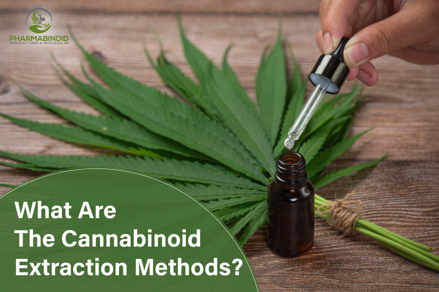 Was sind die Cannabinoid -Extraktionsmethoden?