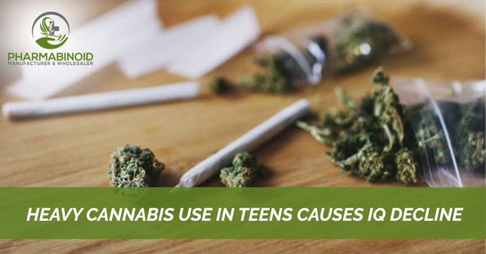 Tung cannabisanvändning hos tonåringar orsakar IQ-nedgång