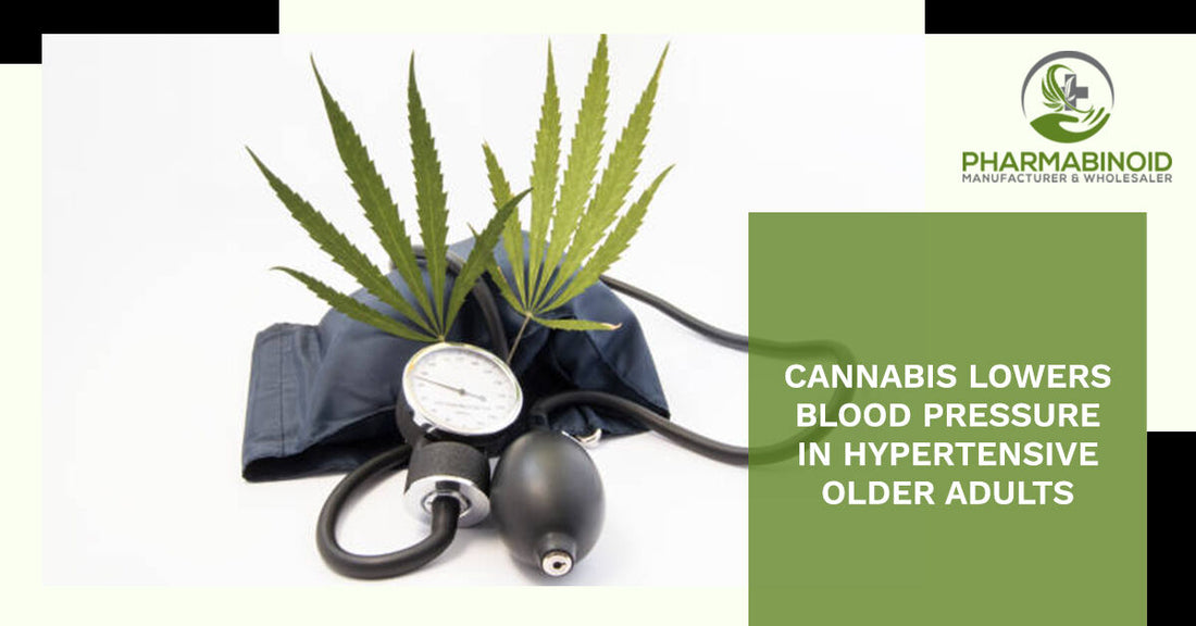 Cannabis lowers Blood Pressure in Hypertensive Older Adults