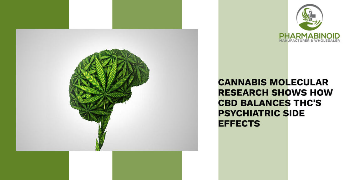 Cannabis Molecular Research shows how CBD balances THC's psychiatric Side Effects
