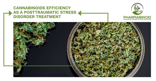 Cannabinoids Efficiency as a Post-Traumatic Stress Disorder Treatment