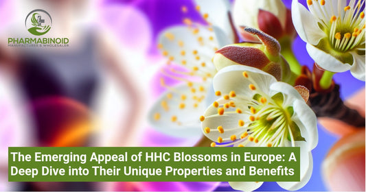 The Emerging Appeal of HHC Blossoms in Europe: A Deep Dive into Their Unique Properties and Benefits