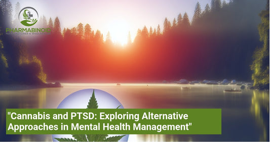 "Cannabis and PTSD: Exploring Alternative Approaches in Mental Health Management"