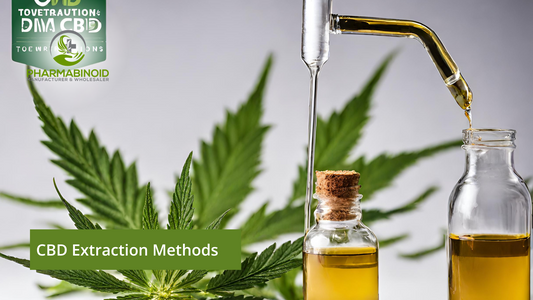 CBD Extraction Methods: Navigating the Path to Purity
