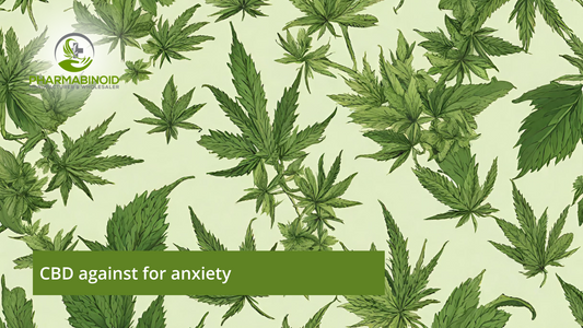 CBD against for Anxiety: A Comprehensive Guide