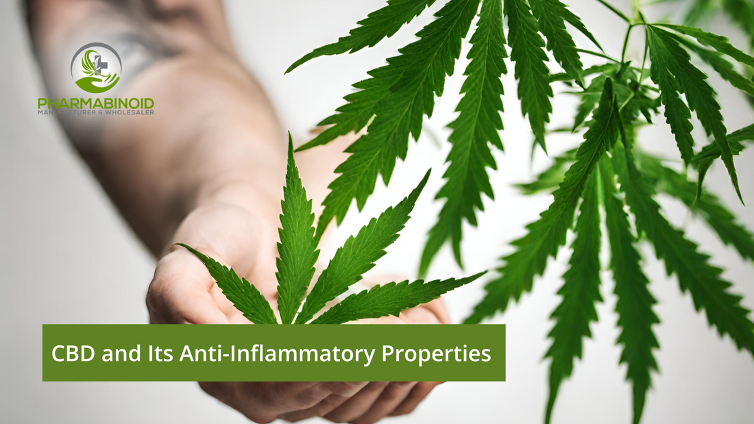 CBD and Its Anti-Inflammatory Properties: A Natural Solution