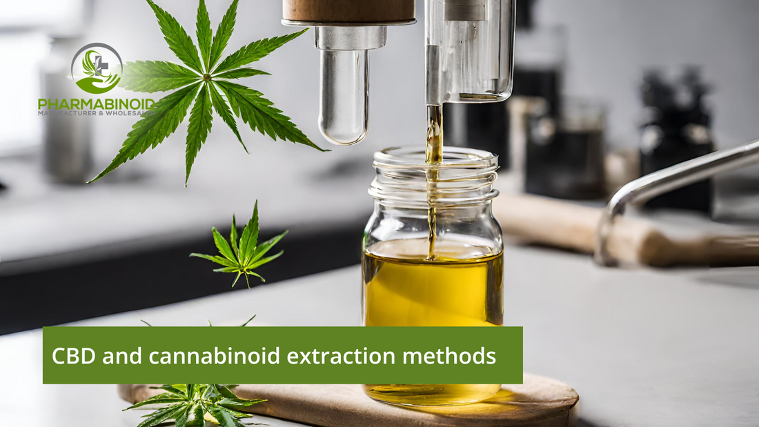 Unveiling the Secrets: CBD and Cannabinoid Extraction Methods