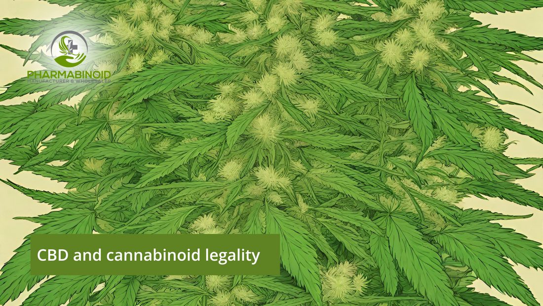 CBD and Cannabinoid Legality: Decoding the Legal Puzzle