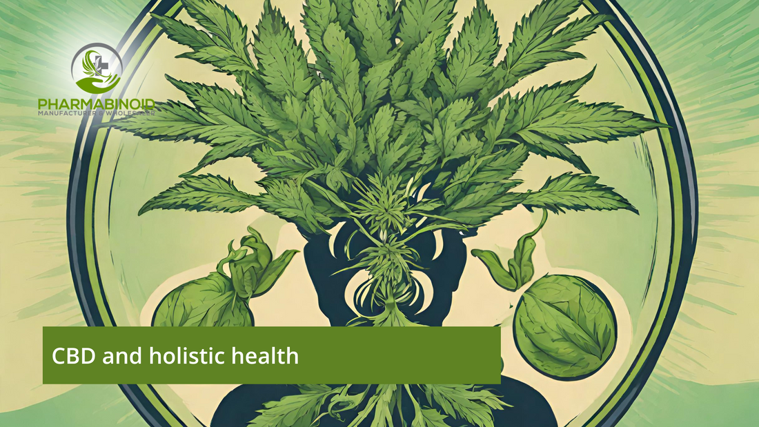 CBD and Holistic Health: A Symphony of Well-Being