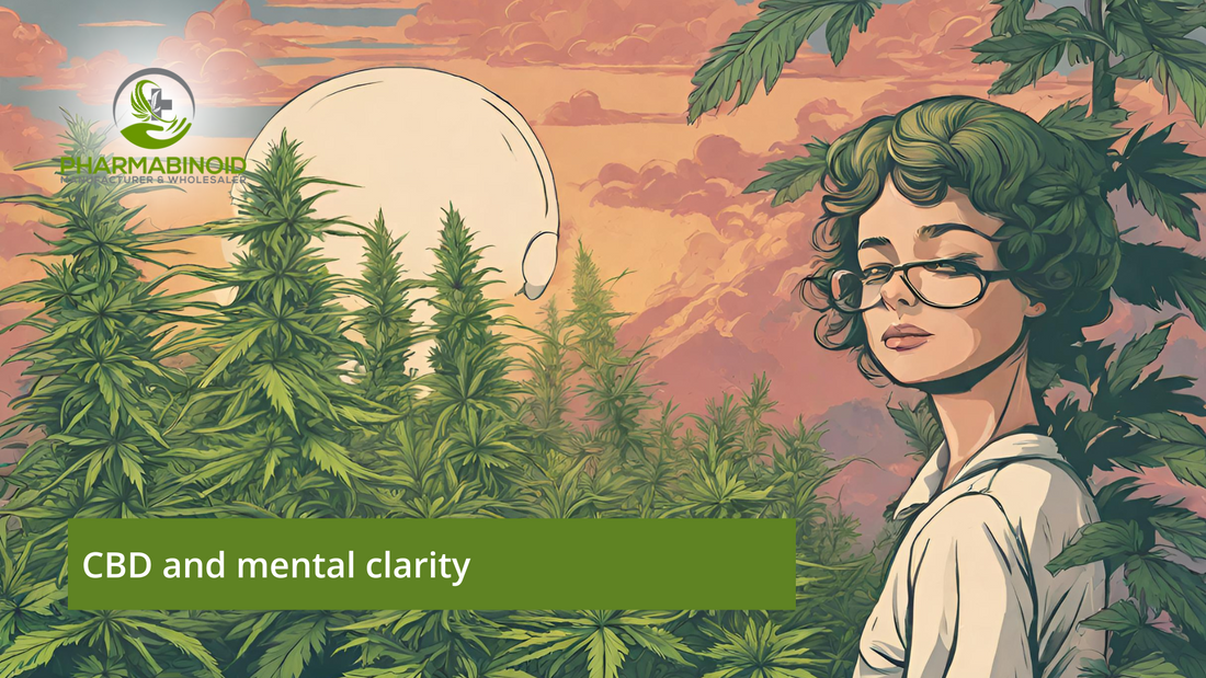 Clarity Unveiled: The Transformative Connection Between CBD and Mental Clarity