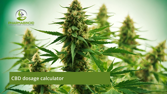 CBD Dosage Calculator: Finding Your Perfect Dose