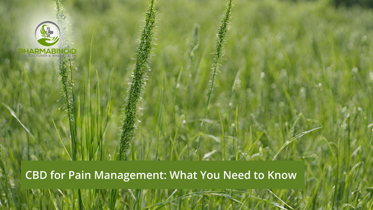 CBD for Pain Management: What You Need to Know