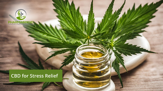 CBD for Stress Relief: Unveiling the Natural Calm