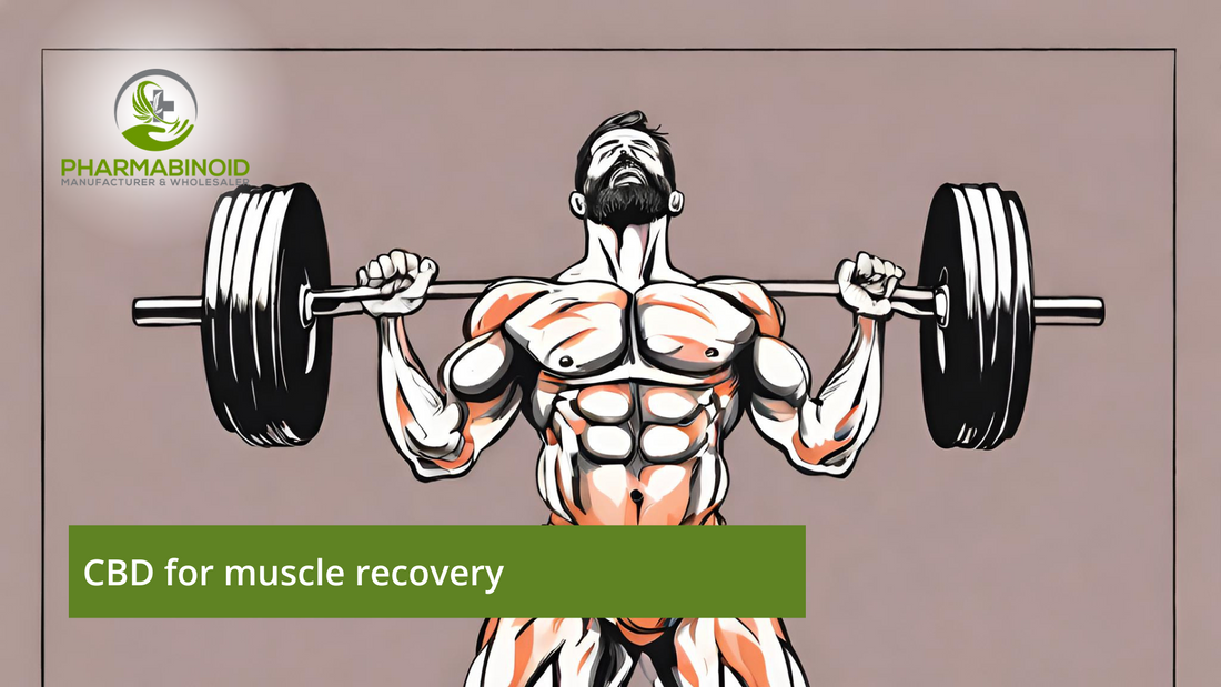Rejuvenate and Restore: The Healing Power of CBD for Muscle Recovery