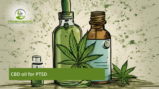CBD Oil for PTSD: A New Hope for Trauma Recovery