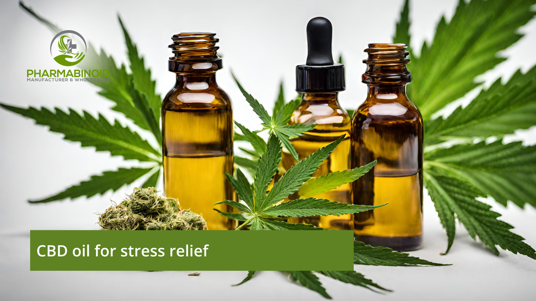 Unveiling Tranquility: CBD Oil for Stress Relief