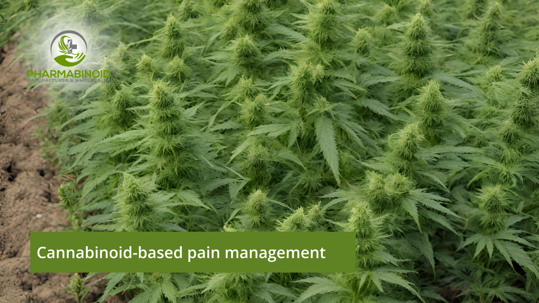 Cannabinoid-Based Pain Management: A Journey to Relief
