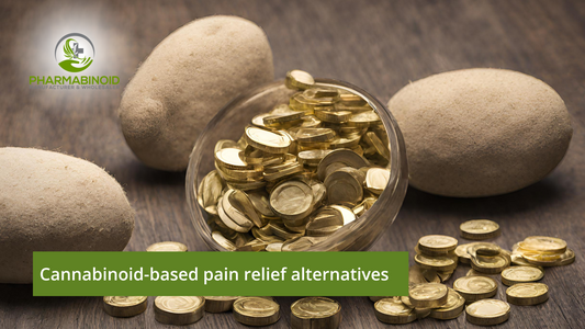 Cannabinoid-based Pain Relief Alternatives: Nature's Answer to Chronic Discomfort