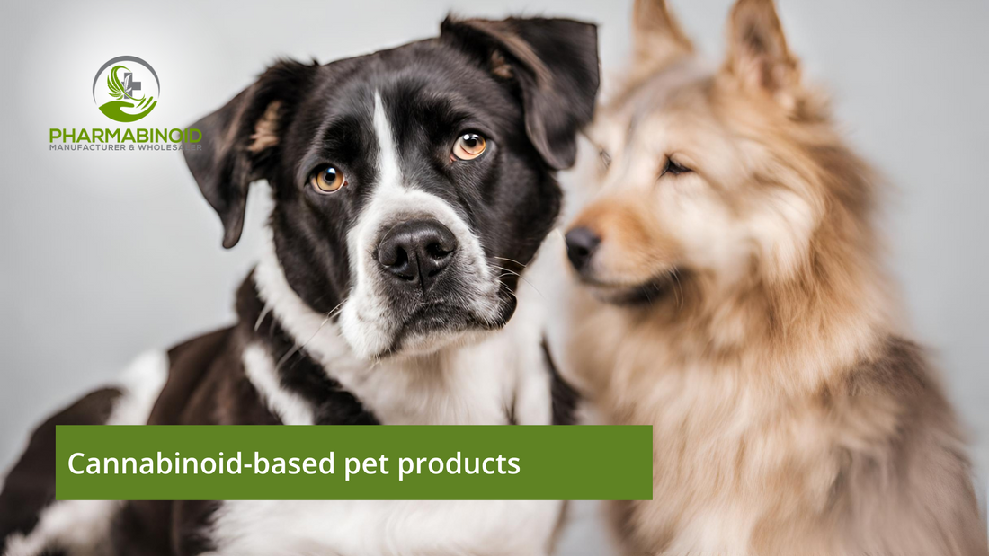 Paws and Potency: Exploring the Wonders of Cannabinoid-Based Pet Products