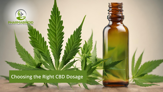 Choosing the Right CBD Dosage: Your Personalized Wellness Journey