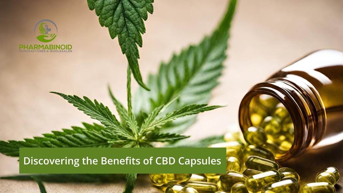 Discovering the Benefits of CBD Capsules