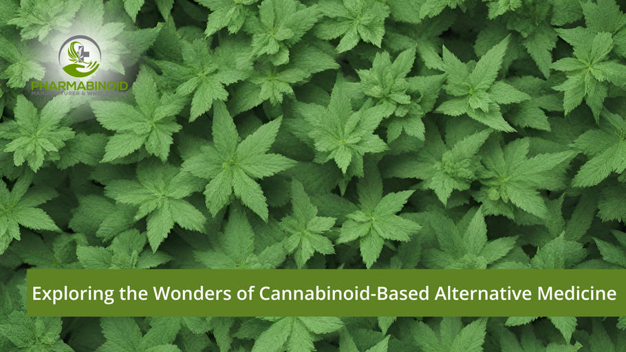 Sprostitev zdravilnega potenciala: alternativna medicina na osnovi kanabinoidov