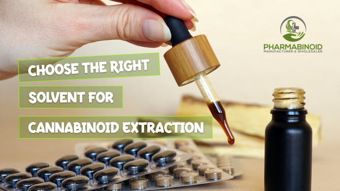 How to Choose the Right Solvent for Cannabinoid Extraction