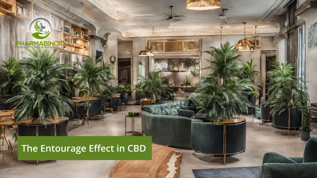 The Entourage Effect in CBD: Unveiling Nature's Synergy
