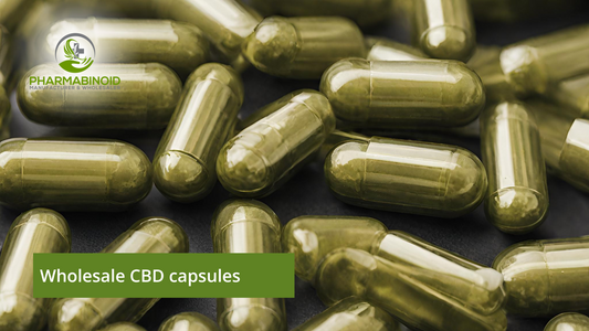 Navigating Success: Wholesale CBD Capsules Unveiled