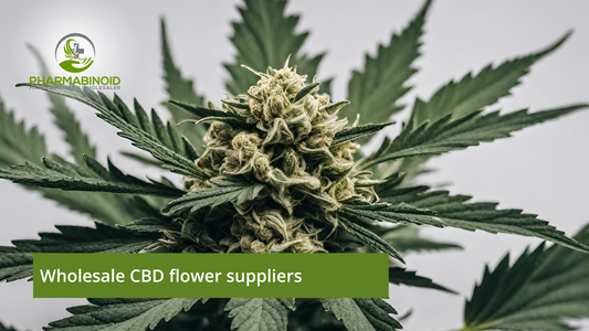Wholesale CBD Flower Suppliers: Your Gateway to Quality Products