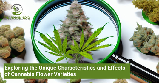 Exploring the Unique Characteristics and Effects of Cannabis Flower Varieties