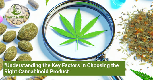 "Understanding the Key Factors in Choosing the Right Cannabinoid Product"