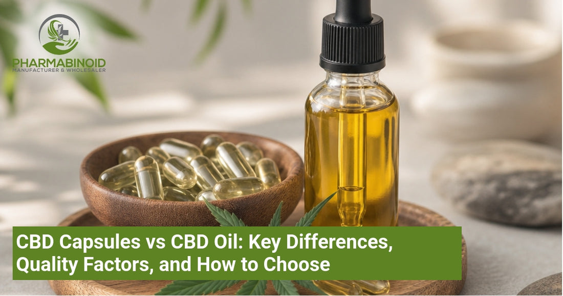 CBD Capsules vs CBD Oil: Key Differences, Quality Factors, and How to Choose