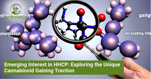 Emerging Interest in HHCP: Exploring the Unique Cannabinoid Gaining Traction