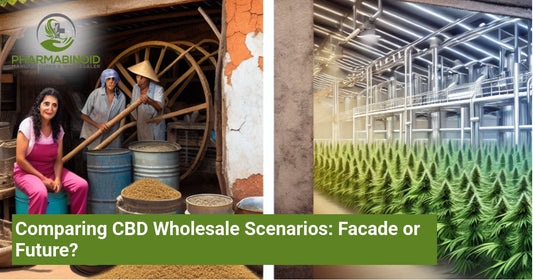 Comparing CBD Wholesale Scenarios: Facade or Future?