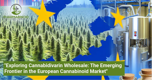 "Exploring Cannabidivarin Wholesale: The Emerging Frontier in the European Cannabinoid Market"