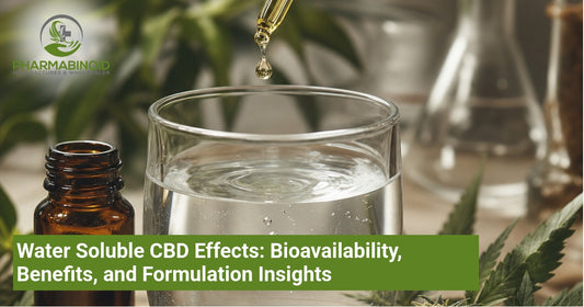 Water Soluble CBD Effects: Bioavailability, Benefits, and Formulation Insights